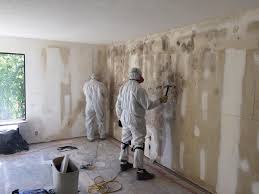 Environmental Consulting for Mold Prevention in Patterson, CA